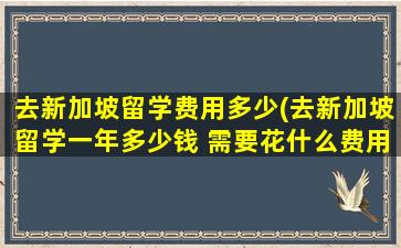 去新加坡留学费用多少(去新加坡留学一年多少钱 需要花什么费用)